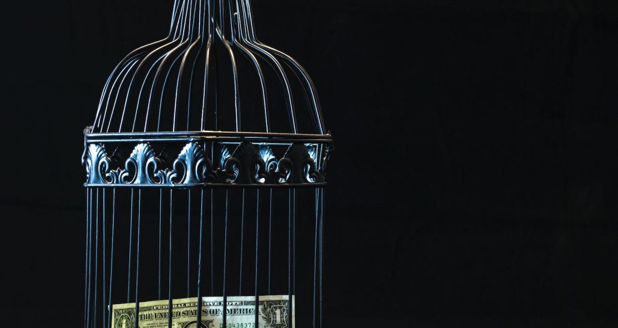 black steel pet cage with one dollar